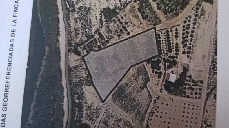 Murcia - Archena - 3750m2