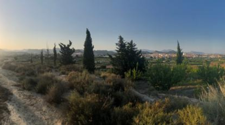 Murcia - Archena - 3750m2