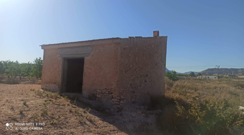 Alicante - Agost - 25000m2
