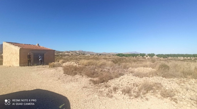 Alicante - Agost - 25000m2