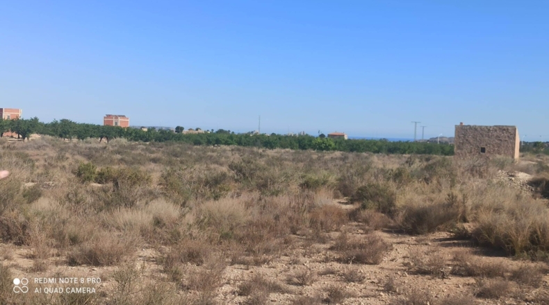 Alicante - Agost - 25000m2