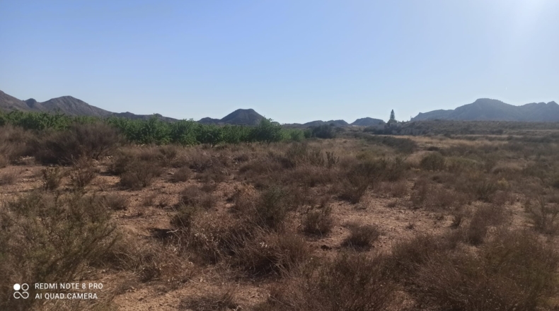 Alicante - Agost - 25000m2