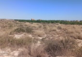 Terreny amb magatzem en venda a la Polígono 50. Parcelas 41 y 43, Agost, ref.: TR73162 foto