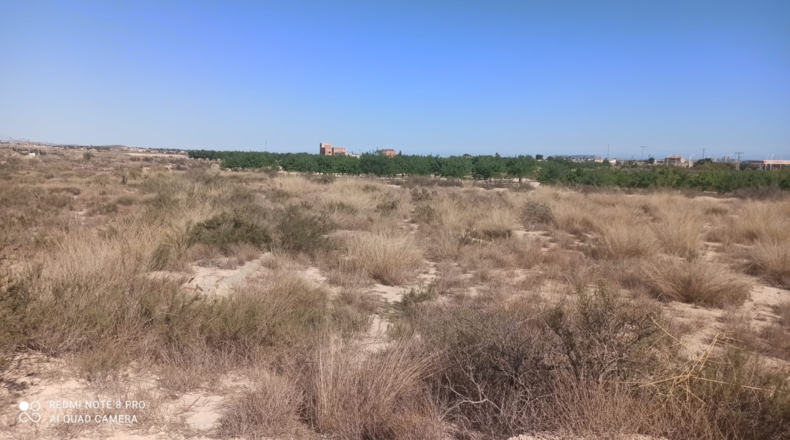 Alicante - Agost - 25000m2