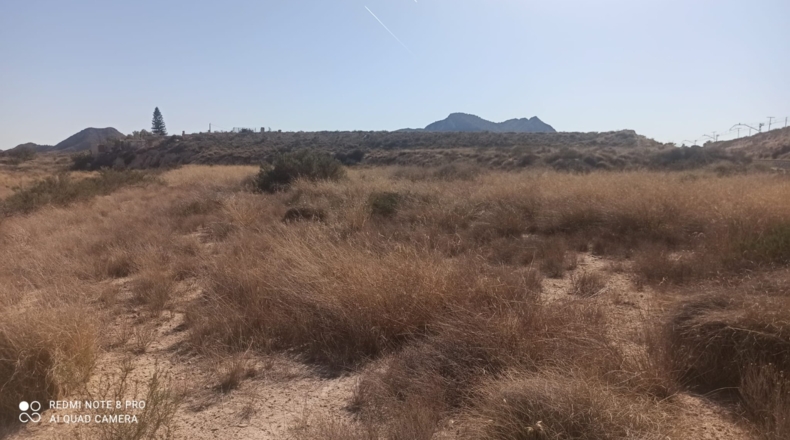 Alicante - Agost - 25000m2
