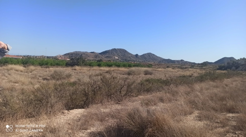 Alicante - Agost - 25000m2