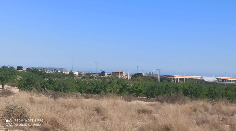 Alicante - Agost - 25000m2