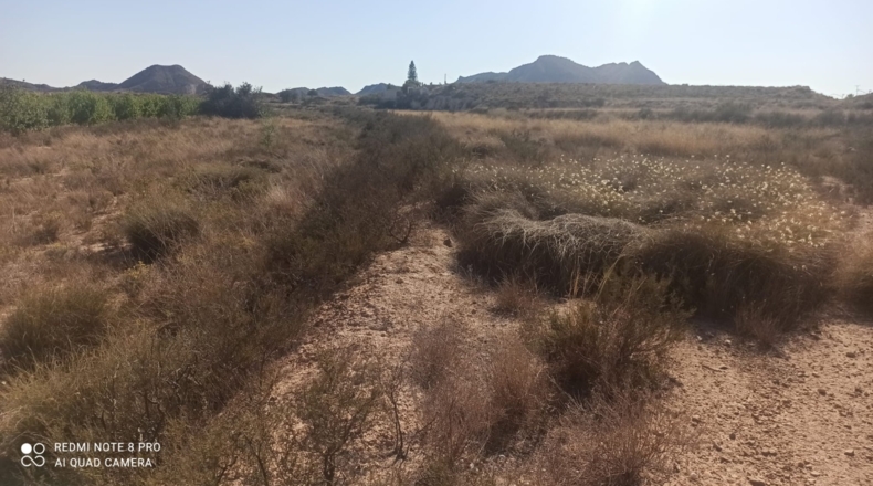 Alicante - Agost - 25000m2
