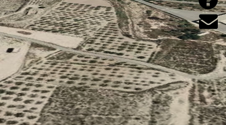 Alicante - Agost - 25000m2
