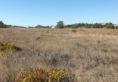 Land suitable for development for sale on Calle Calvario, La Palma del Condado, ref: TR73178 photo