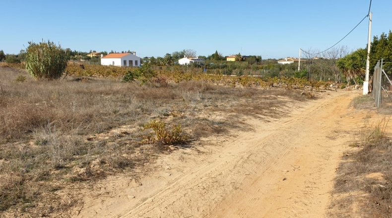 Huelva - La Palma del Condado - 10000m2