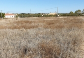 Land suitable for development for sale on Calle Calvario, La Palma del Condado, ref: TR73178 photo