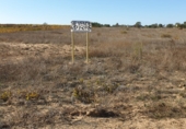 Land suitable for development for sale on Calle Calvario, La Palma del Condado, ref: TR73178 photo