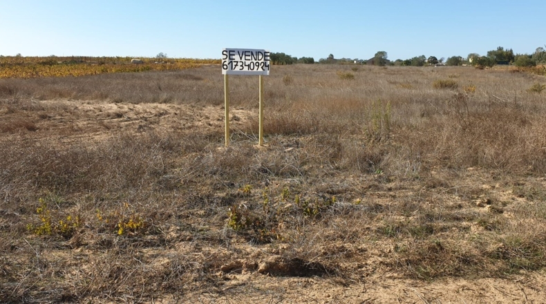 Huelva - La Palma del Condado - 10000m2