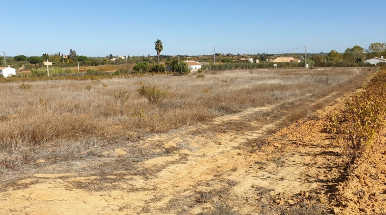 Huelva - La Palma del Condado - 10000m2