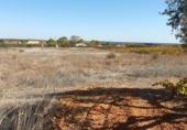 Land suitable for development for sale on Calle Calvario, La Palma del Condado, ref: TR73178 photo