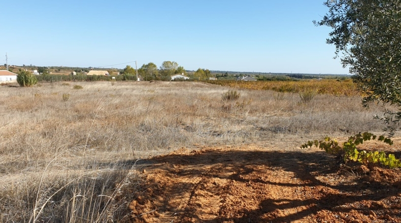 Huelva - La Palma del Condado - 10000m2
