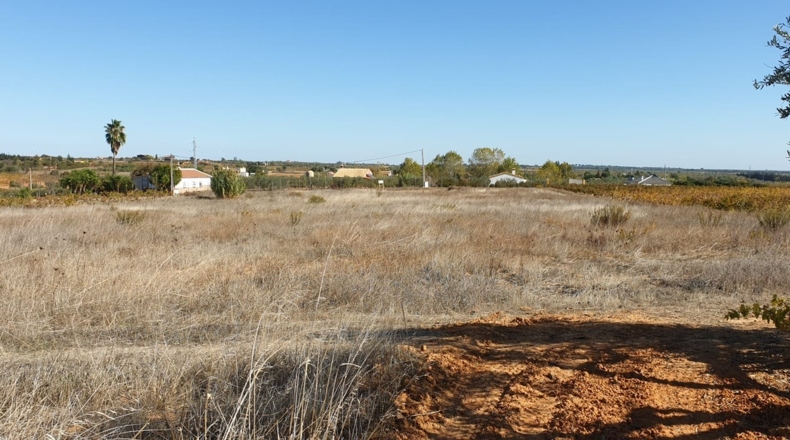 Huelva - La Palma del Condado - 10000m2