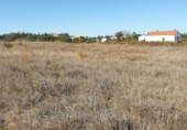 Land suitable for development for sale on Calle Calvario, La Palma del Condado, ref: TR73178 photo