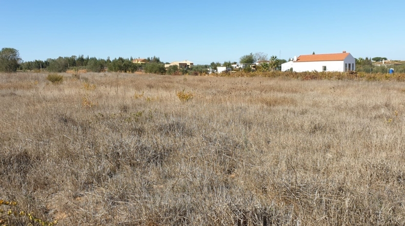 Huelva - La Palma del Condado - 10000m2