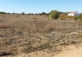 Land suitable for development for sale on Calle Calvario, La Palma del Condado, ref: TR73178 photo