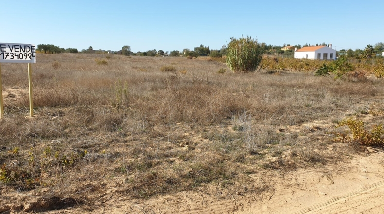 Huelva - La Palma del Condado - 10000m2