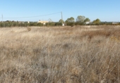 Land suitable for development for sale on Calle Calvario, La Palma del Condado, ref: TR73178 photo