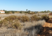 Land suitable for development for sale on Calle Calvario, La Palma del Condado, ref: TR73178 photo