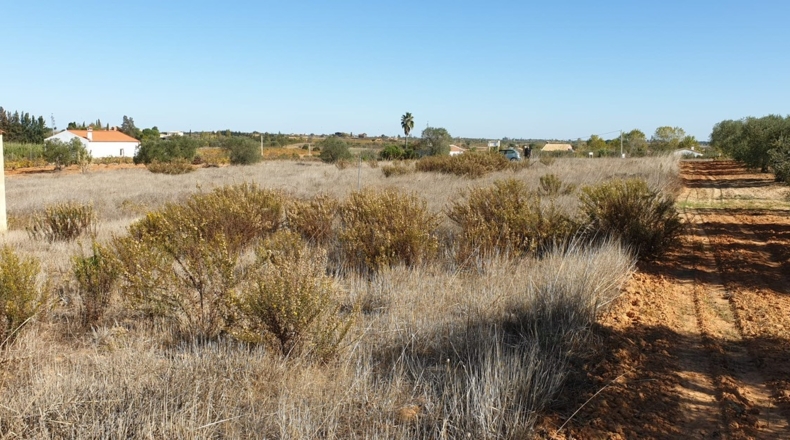 Huelva - La Palma del Condado - 10000m2