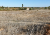 Land suitable for development for sale on Calle Calvario, La Palma del Condado, ref: TR73178 photo