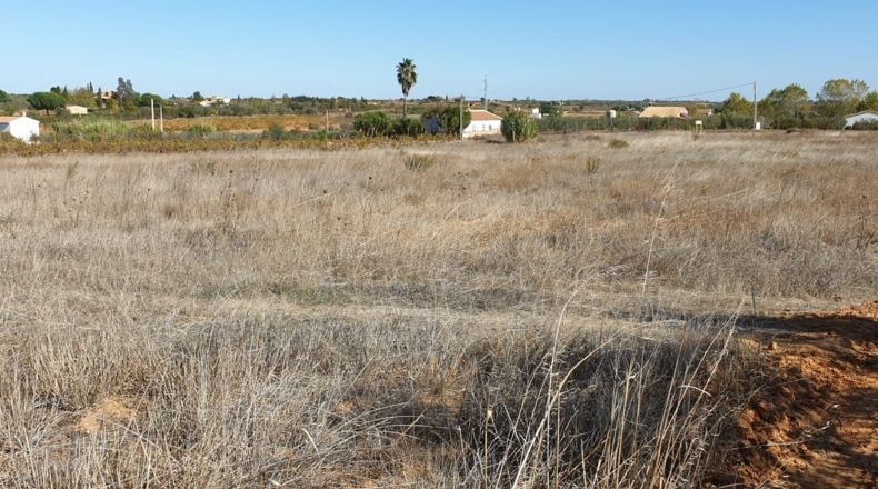 Huelva - La Palma del Condado - 10000m2