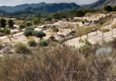 Non-developable land for sale on Silim ameradores, Xixona, ref: TR68526 photo