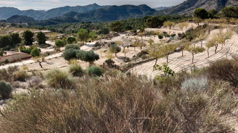 Alicante - Jijona - 10000m2