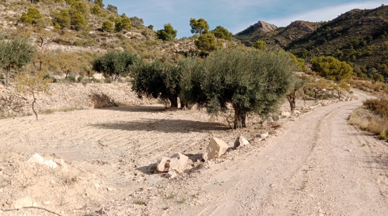 Alicante - Jijona - 10000m2