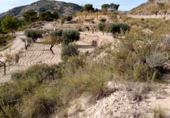 Non-developable land for sale on Silim ameradores, Xixona, ref: TR68526 photo