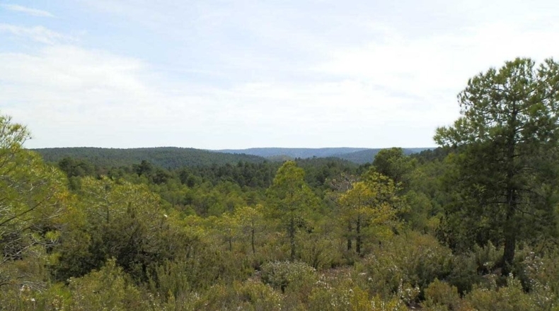 Cuenca - Carboneras de Guadazaón - 220000m2
