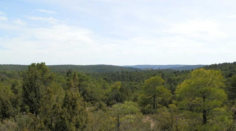 Cuenca - Carboneras de Guadazaón - 220000m2