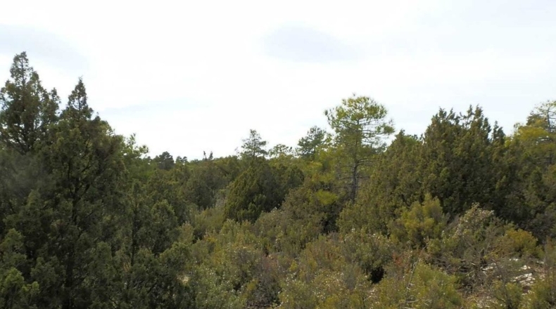 Cuenca - Carboneras de Guadazaón - 220000m2