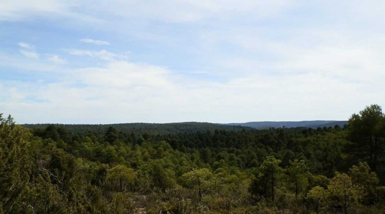 Cuenca - Carboneras de Guadazaón - 220000m2