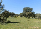 Terreno no urbanizable en venta en la ciudad, Ciudad Rodrigo, ref: TR73186 foto