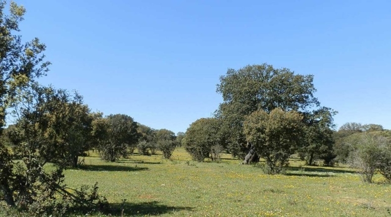 Salamanca - Ciudad Rodrigo - 920000m2