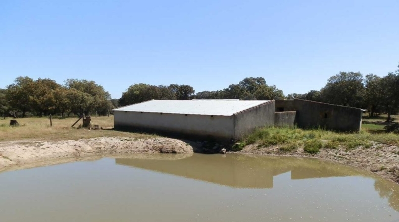 Salamanca - Ciudad Rodrigo - 920000m2