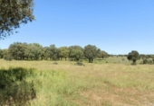Terreno no urbanizable en venta en la ciudad, Ciudad Rodrigo, ref: TR73186 foto