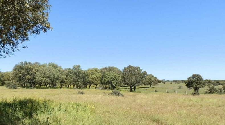 Salamanca - Ciudad Rodrigo - 920000m2