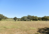 Terreno no urbanizable en venta en la ciudad, Ciudad Rodrigo, ref: TR73186 foto