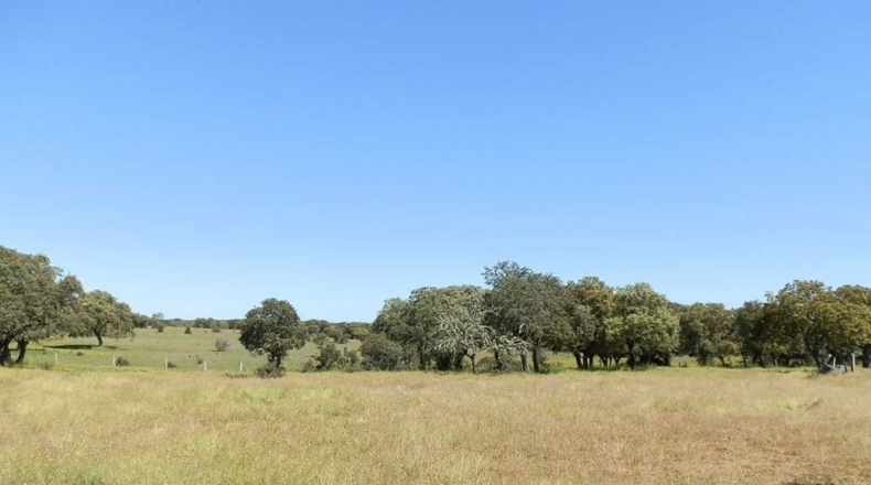 Salamanca - Ciudad Rodrigo - 920000m2