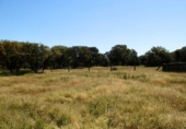 Terreno no urbanizable en venta en la ciudad, Ciudad Rodrigo, ref: TR73186 foto