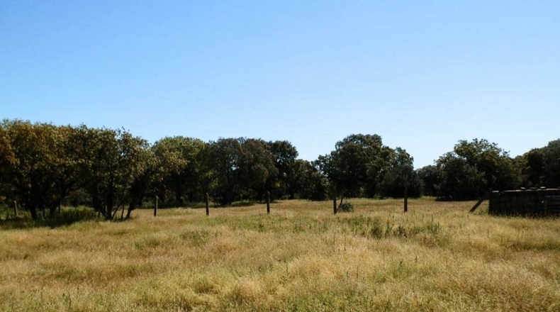 Salamanca - Ciudad Rodrigo - 920000m2