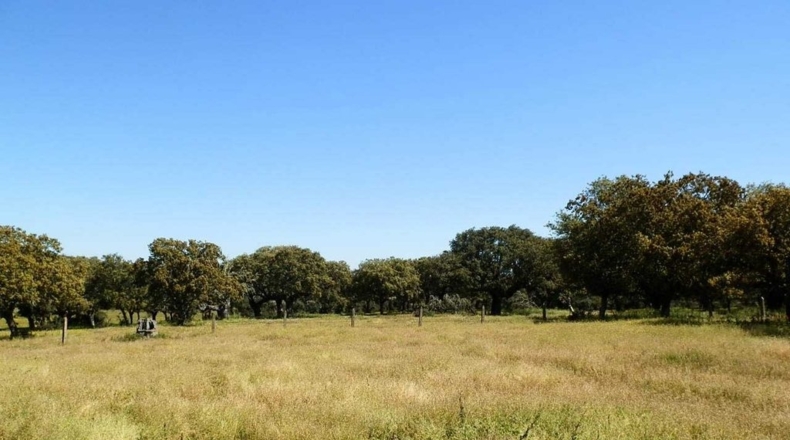 Salamanca - Ciudad Rodrigo - 920000m2