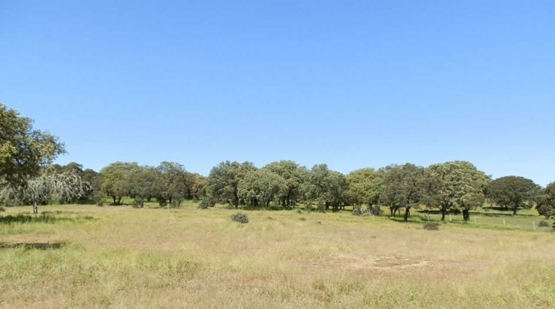 Salamanca - Ciudad Rodrigo - 920000m2